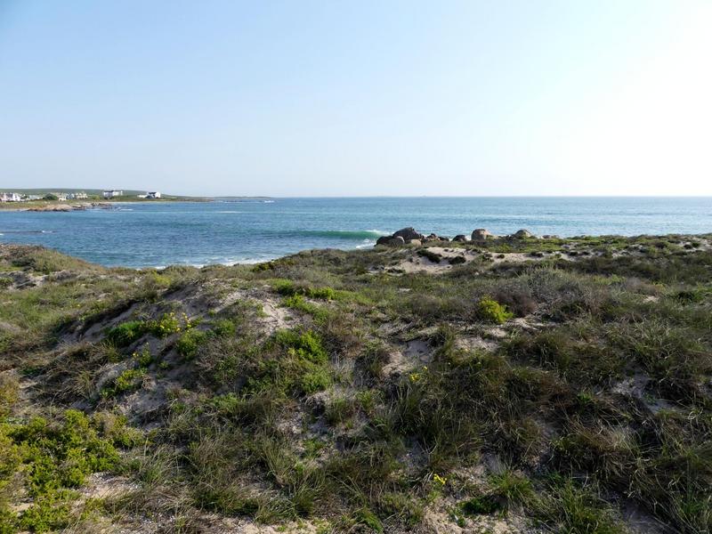 0 Bedroom Property for Sale in Cape St Martin Private Reserve Western Cape